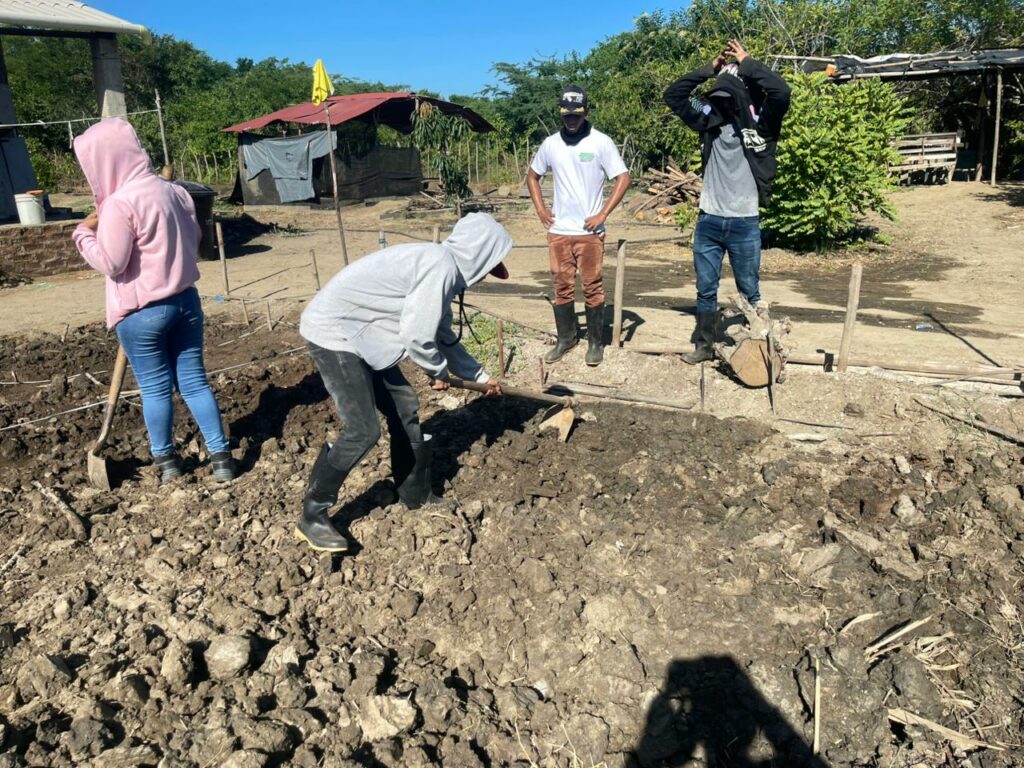 Estudiantes de tercer semestre del programa Producción Agropecuaria Sostenible de la Institución Universitaria del Caribe (Unicaribe).